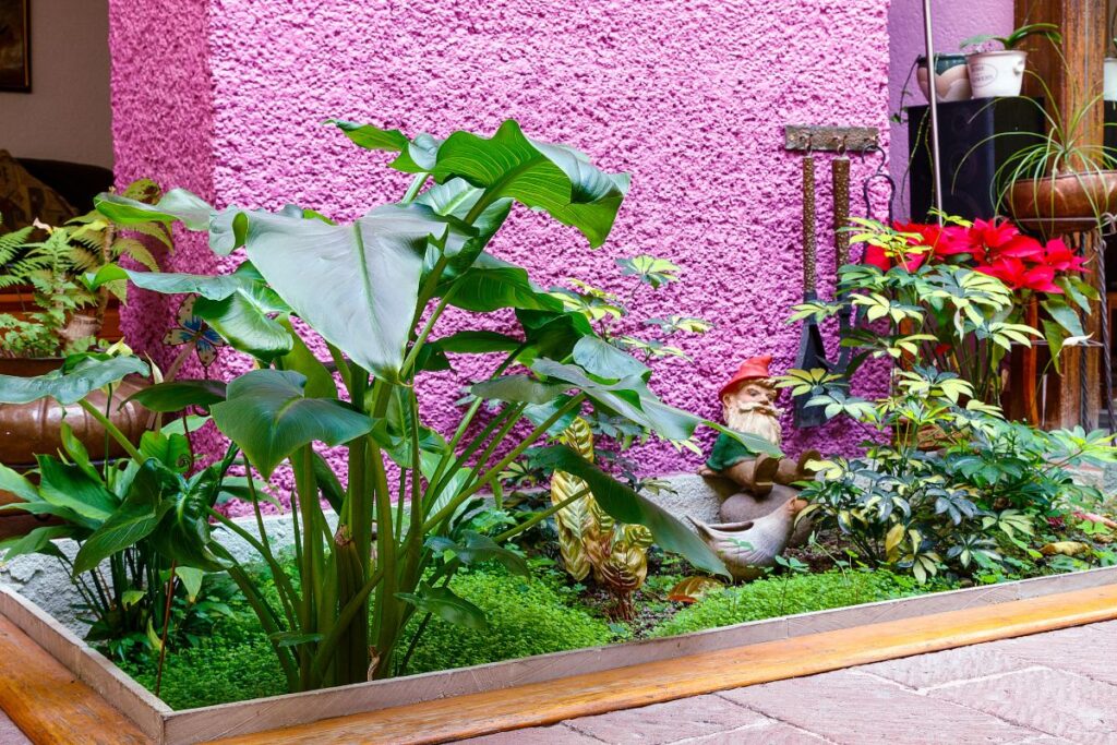 Jardim de inverno para sala com plantas tropicais e decoração charmosa.