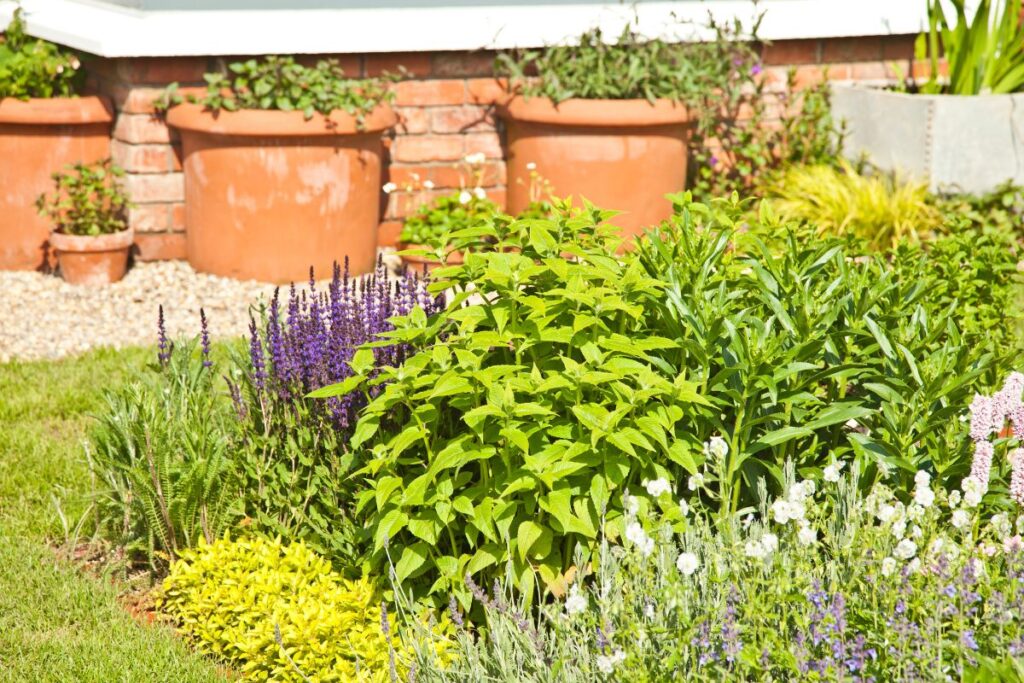 : Jardim para quintal pequeno com flores coloridas e vasos decorativos.