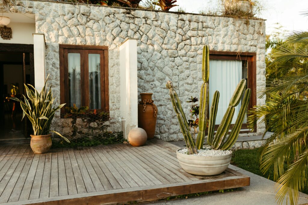Mandacaru cultivado em vaso grande na entrada de uma casa com fachada de pedra, mostrando seu uso decorativo em jardins e áreas externas.