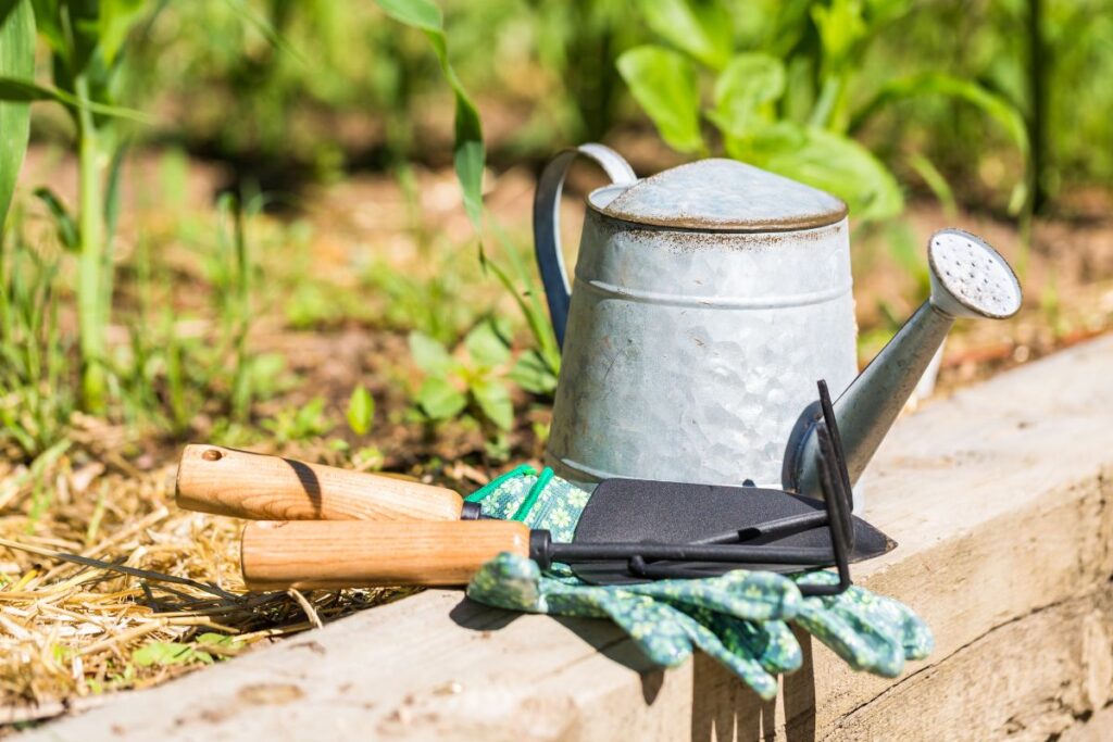 ferramentas de jardinagem com regador, luvas e pás sobre canteiro de horta caseira ao ar livre