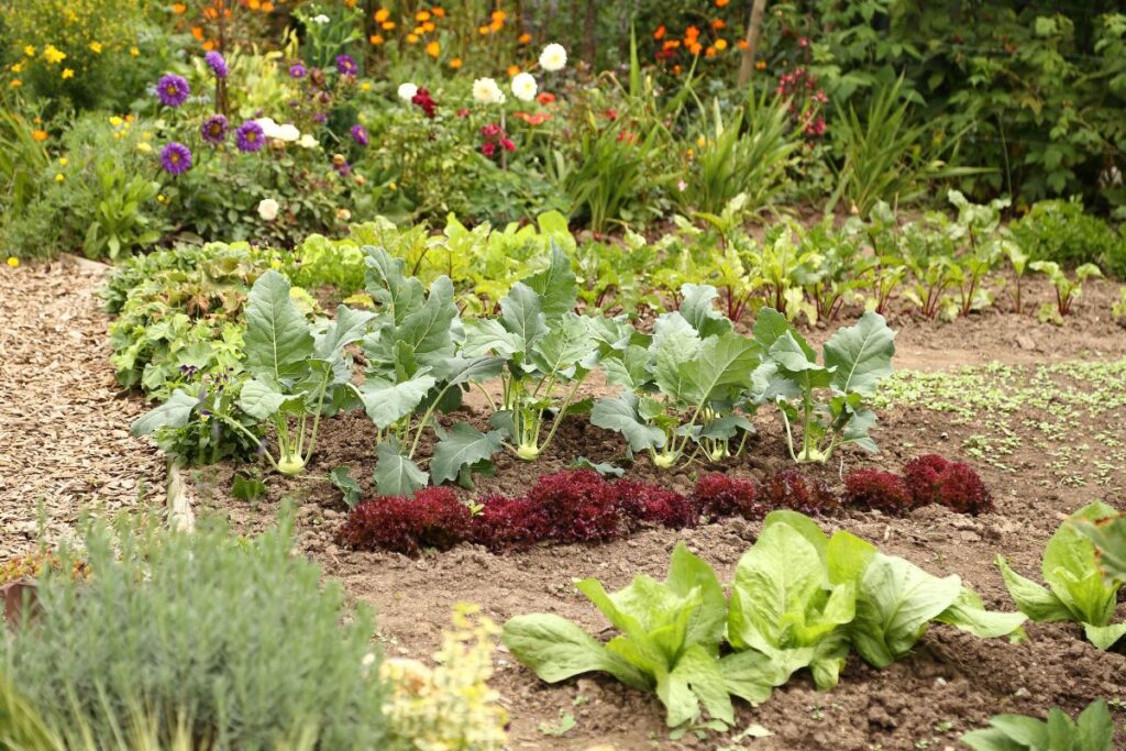 horta caseira organizada com hortaliças variadas e flores coloridas ao fundo