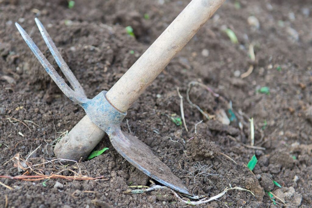 Ferramenta de jardinagem em solo preparado, pronta para iniciar o cultivo de uma horta caseira.