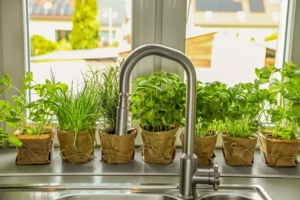 Vasos com diferentes plantas aromáticas organizados na janela da cozinha.