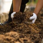 mãos com luvas brancas preparando o solo de horta com matéria orgânica e substrato