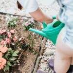 Pessoa regando flores coloridas em um jardim, representando rotina de cuidados gerais com as plantas