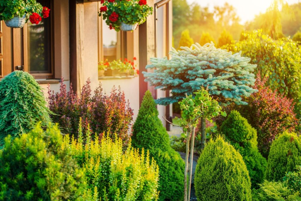 jardim residencial com arbustos, árvores decorativas e vasos suspensos com flores vermelhas, representando diferentes tipos de espaços verdes