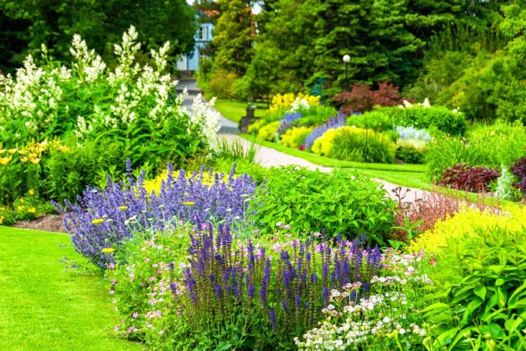 jardim colorido e caminho entre plantas, levando para o artigo Tipos de Jardins