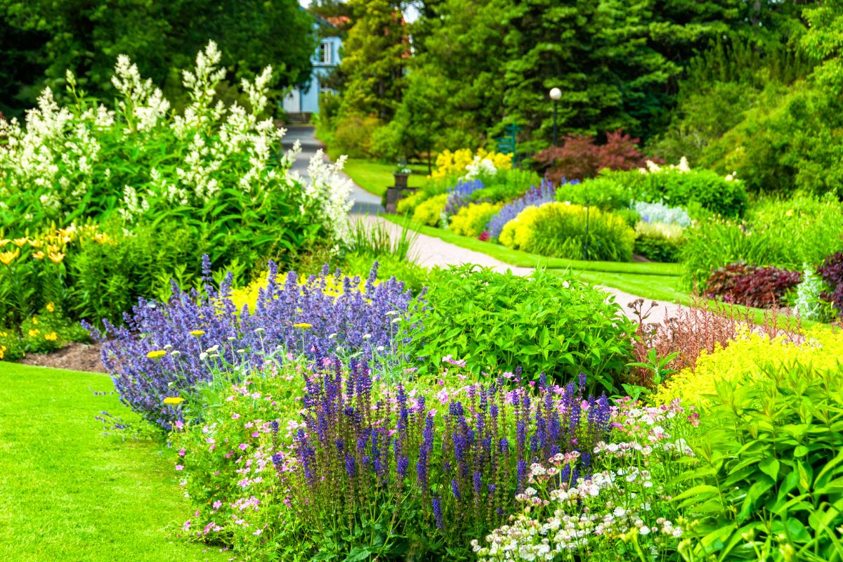 Jardim com diversas plantas coloridas, mostrando variedade de flores e folhagens.