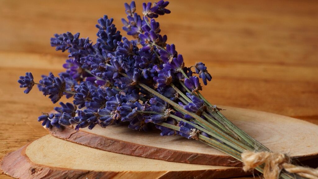 Buquê de flores lavanda secas sobre tábuas de madeira, simbolizando os usos aromáticos e decorativos da planta.