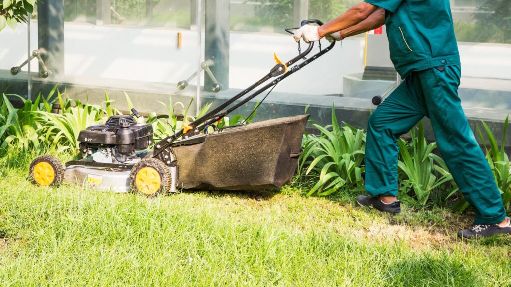 Homem operando cortador de grama a gasolina em jardim com vegetação ornamental