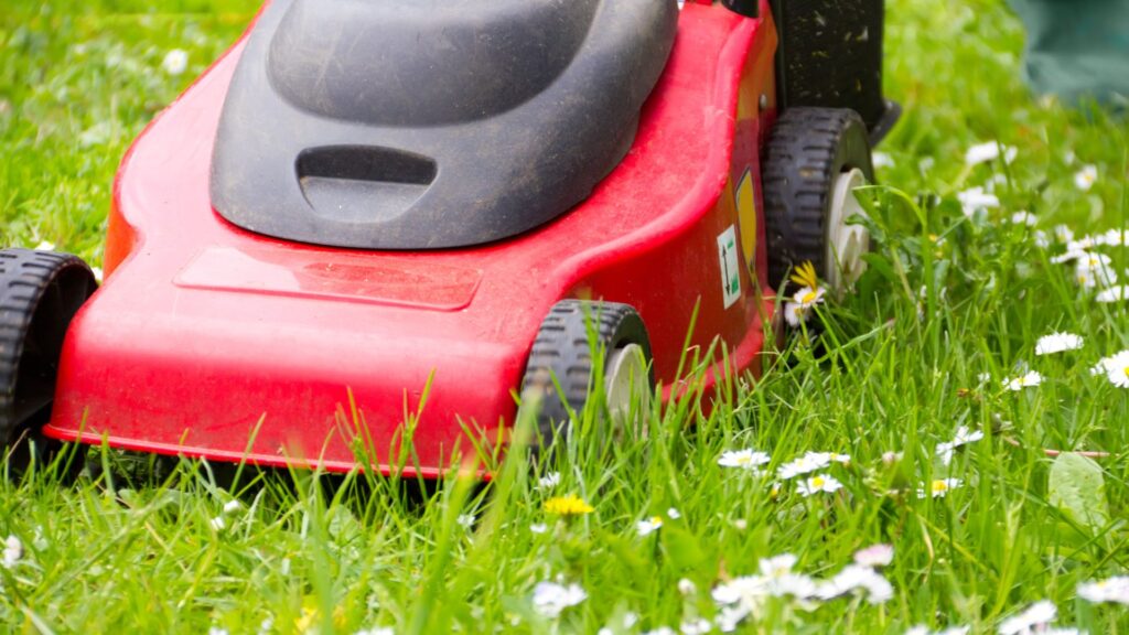 Cortador de grama vermelho aparando grama alta em jardim com margaridas