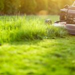 Cortador de grama em ação sob a luz do sol, cortando vegetação alta em um gramado irregular, representando o uso eficiente de um cortador de grama para terrenos irregulares em áreas residenciais.