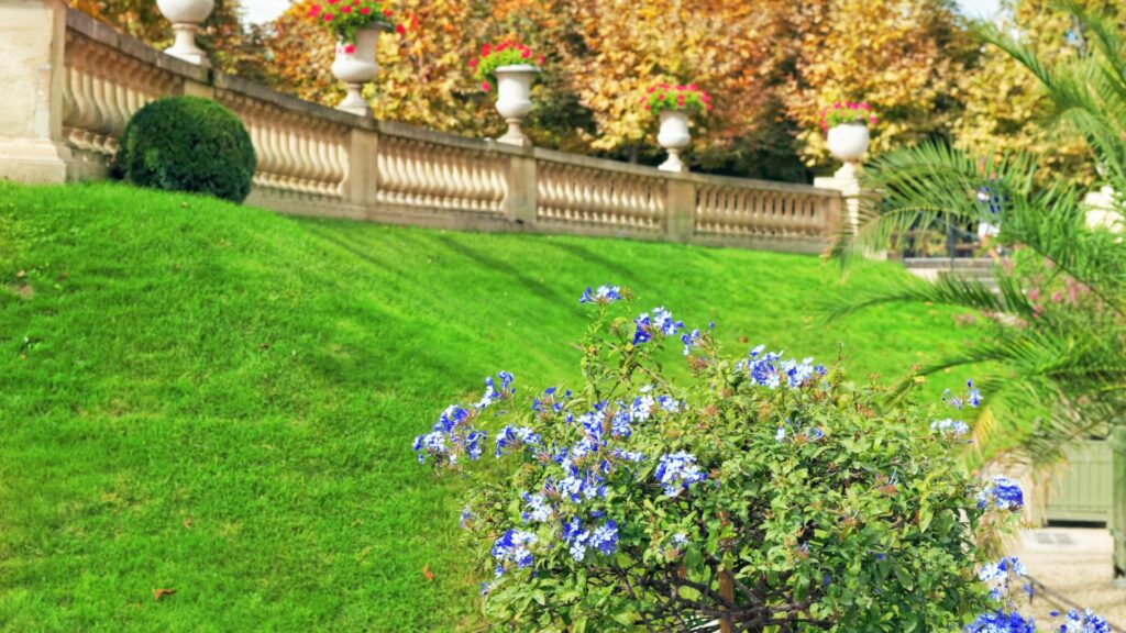 Jardim com gramado em declive e arbusto florido, ilustrando as diferenças entre os tipos de cortadores de grama para terrenos irregulares e a importância de escolher o modelo ideal conforme o relevo e a vegetação.
