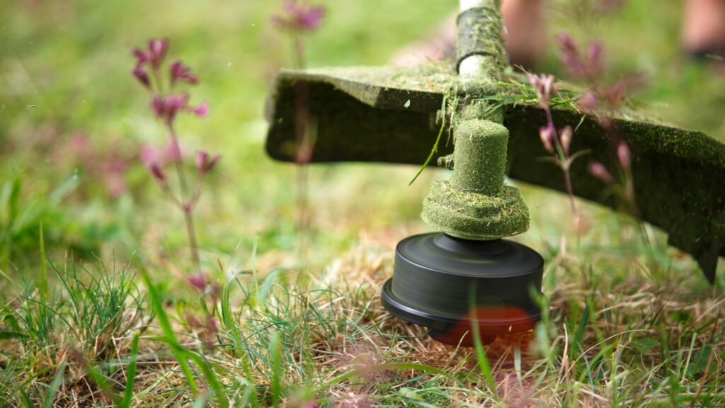 cabeçote de roçadeira em ação cortando grama com eficiência em área verde