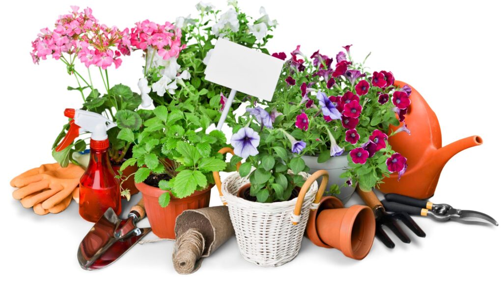 Ferramentas de jardinagem ao lado de vasos com flores coloridas, borrifador e regador sobre uma mesa branca.
