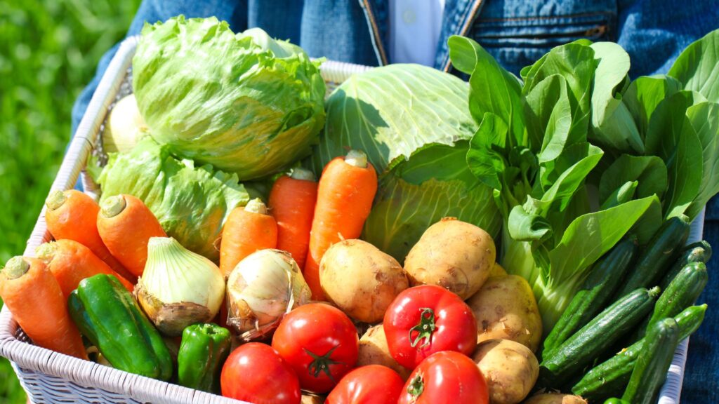Cesta cheia de hortaliças frescas colhidas da horta, como alface, cenoura, tomate e pepino.