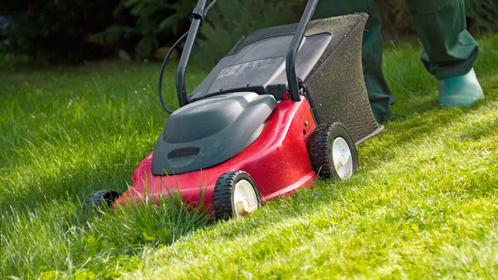 Pessoa utilizando um cortador de grama vermelho em um jardim bem cuidado — destaque do artigo sobre os melhores cortadores de grama em 2025
