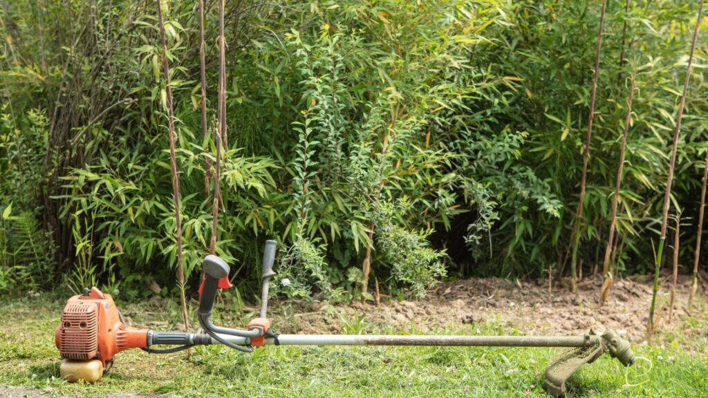 Manutenção de roçadeira: roçadeira a gasolina posicionada no jardim pronta para uso