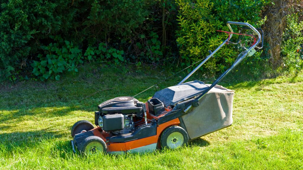 Cortador de grama com coletor em uso em gramado denso e úmido.