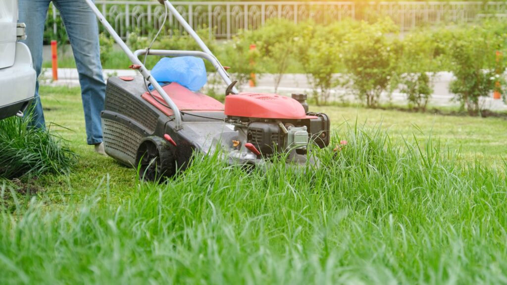 Cortador de grama sendo usado em gramado alto e denso, ilustrando a importância de escolher o cortador de grama para terrenos irregulares conforme o tipo de grama e a densidade da vegetação.