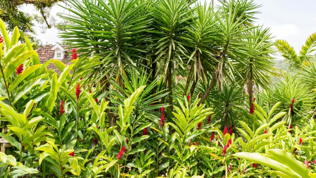 Paisagismo tropical com plantas de folhagem verde e flores vermelhas em jardim externo iluminado.