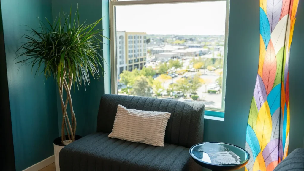 dracaena marginata adulta posicionada ao lado de uma janela iluminada em ambiente interno, recebendo luz indireta brilhante