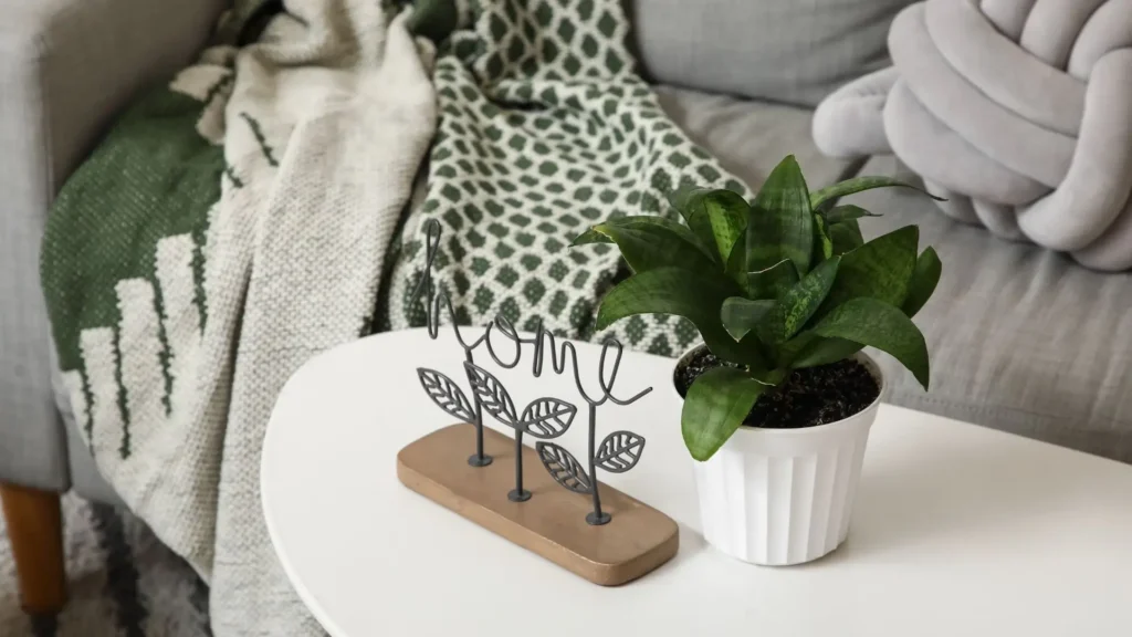 Espadinha de São Jorge em cantinho aconchegante do quarto