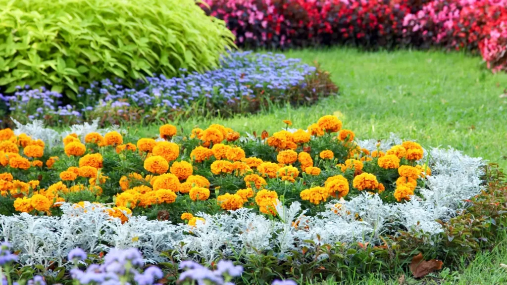 Canteiro de jardim com flores coloridas organizadas por estação.