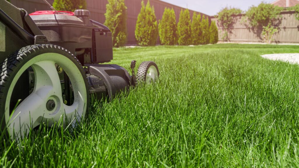 Cortador de grama automático realizando corte uniforme em gramado residencial, simbolizando conforto e eficiência no cuidado com o jardim.