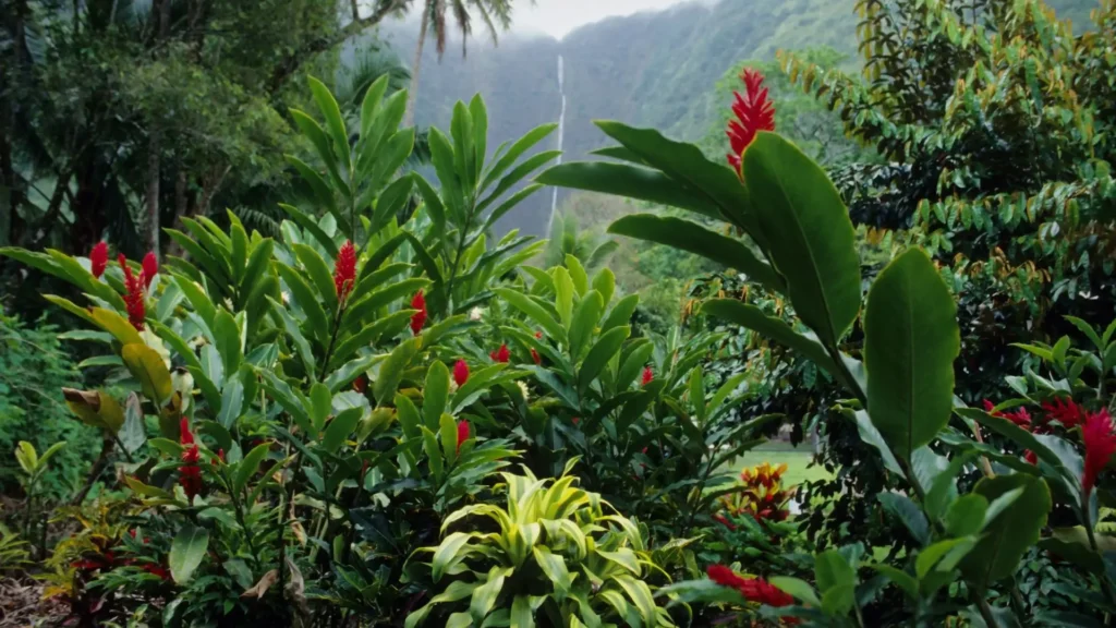 Paisagem tropical com folhagens exuberantes, flores vermelhas e montanhas ao fundo
