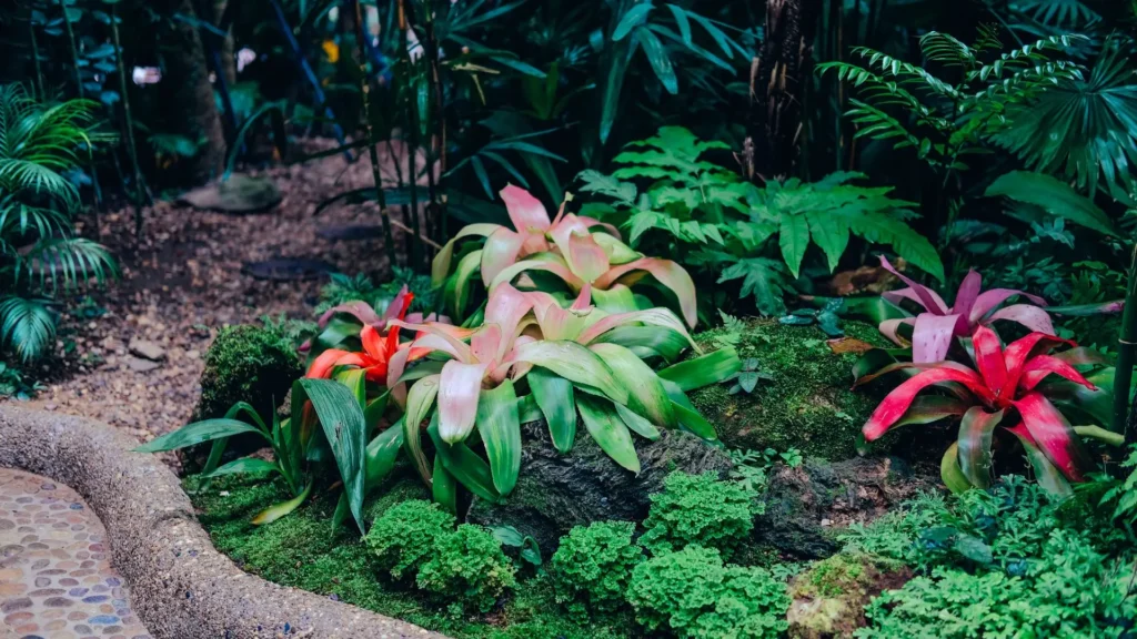 jardim tropical com folhagens verdes e flores vermelhas diante de uma cachoeira ao fundo