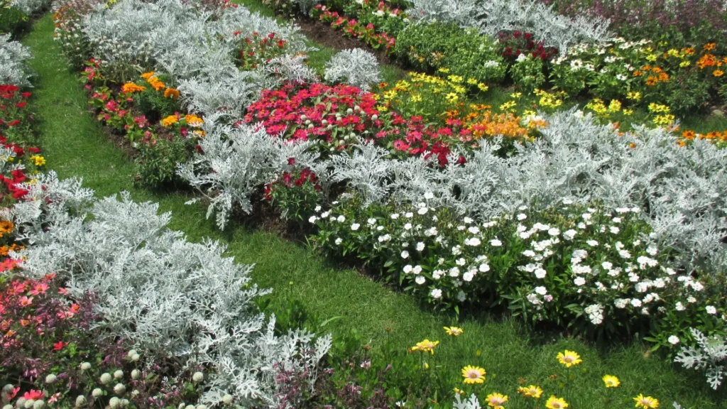 Canteiro com folhagens coloridas e flores em tons de branco, amarelo, vermelho e prateado, mostrando como o contraste natural das folhas pode substituir a beleza das flores tradicionais.