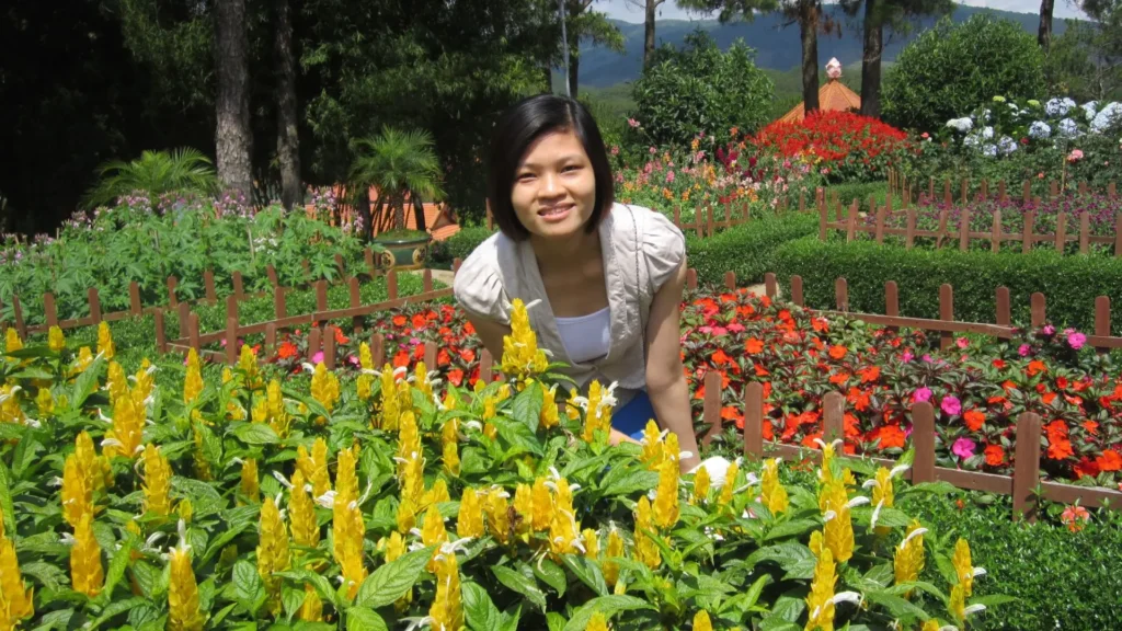 replantio de plantas camarão amarelo em jardim florido com solo renovado
