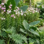 Orquídea bambu plantada em jardim tropical, usada no paisagismo ao longo de caminho com plantas ornamentais