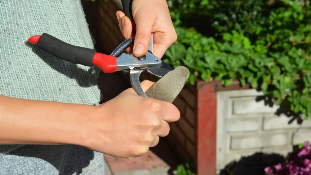 Ângulo correto da lâmina ao afiar tesoura de poda mantendo o fio original durante a afiação