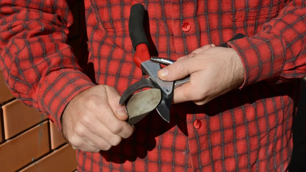 Como afiar tesoura de poda corretamente passo a passo usando pedra de afiar para restaurar o fio da lâmina