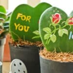 Folhas de hoya kerrii decoradas com pinturas em vasos, conhecidas como suculenta coração