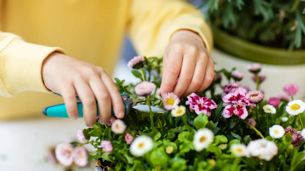 Tesoura de poda para flores e acabamentos sendo usada para cortar flores delicadas e fazer podas leves em plantas ornamentais