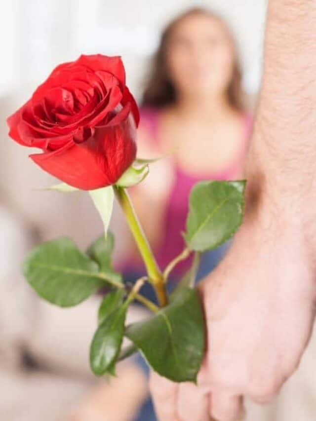 rosa vermelha simbolizando respeito, admiração e reconhecimento em uma homenagem no Dia da Mulher