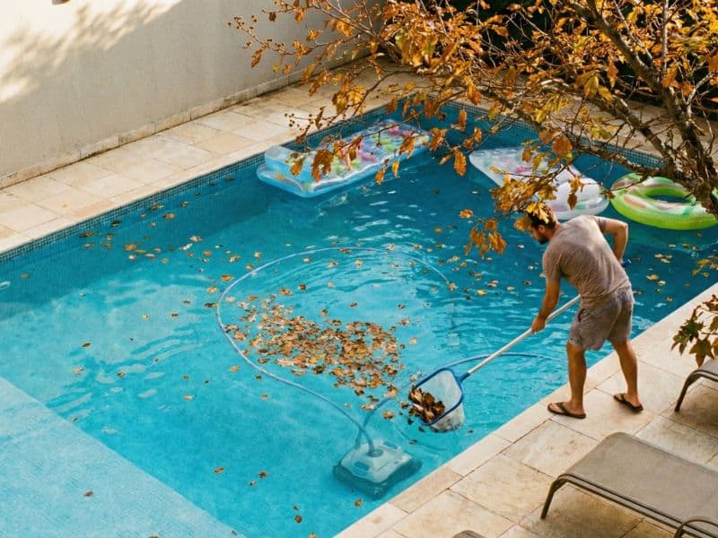 pessoa limpando folhas de árvore ornamental dentro da piscina mostrando erro de plantar espécie próxima à área molhada