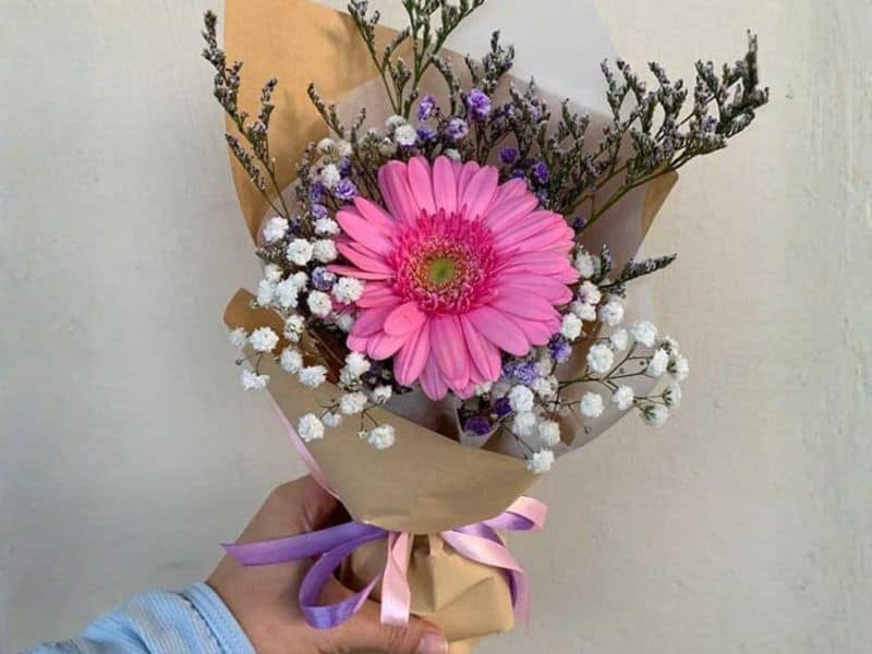 gérbera simbolizando alegria e vitalidade em uma homenagem simples no Dia da Mulher