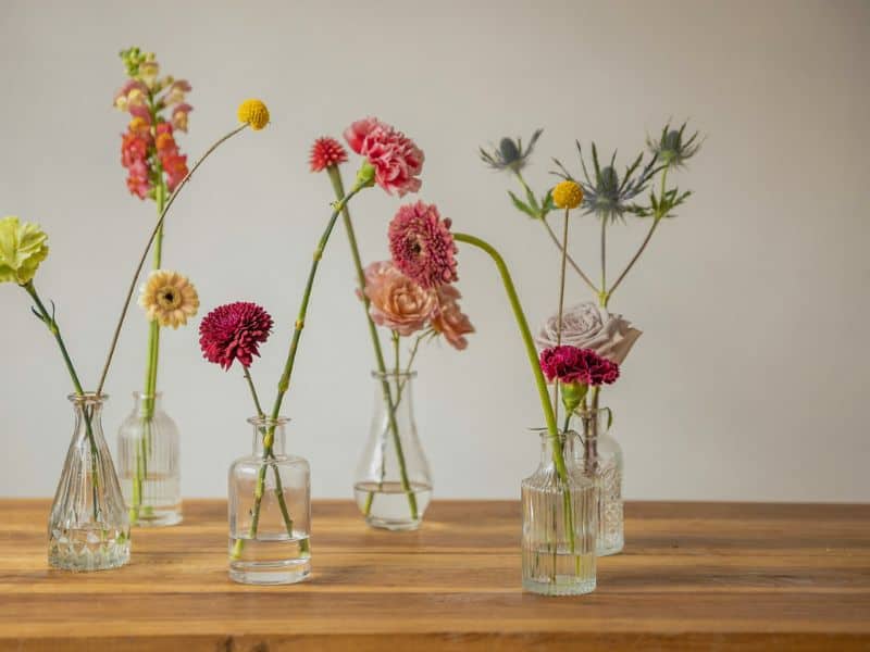 Flores dispostas em vasos de vidro simples, representando lembrancinhas do Dia da Mulher em 2026 com foco em simplicidade e significado