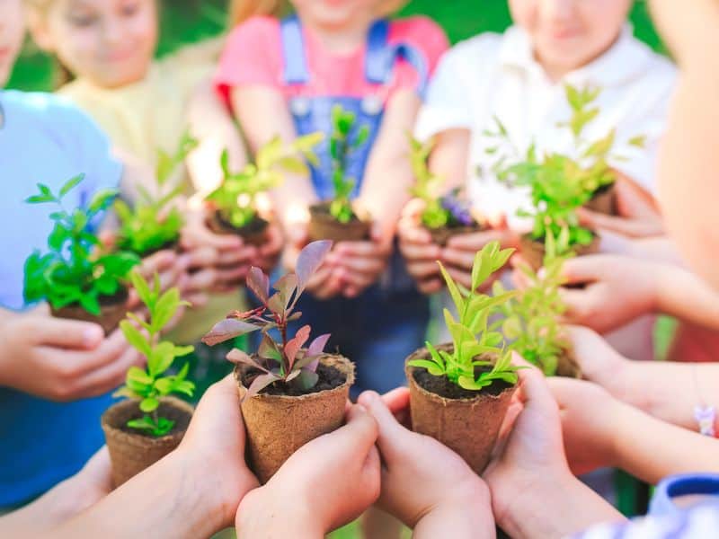 Crianças segurando pequenas plantas em vasos biodegradáveis, representando lembrancinhas do Dia da Mulher em escolas e ações educativas