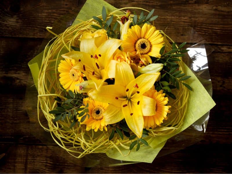 lírio amarelo simbolizando felicidade e boas energias em flores para o Dia da Mulher