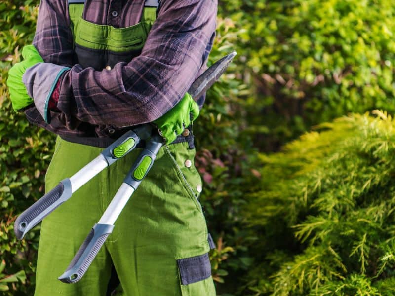 Melhor tesoura de poda sendo utilizada por jardineiro em jardim residencial com tesourão profissional nas mãos