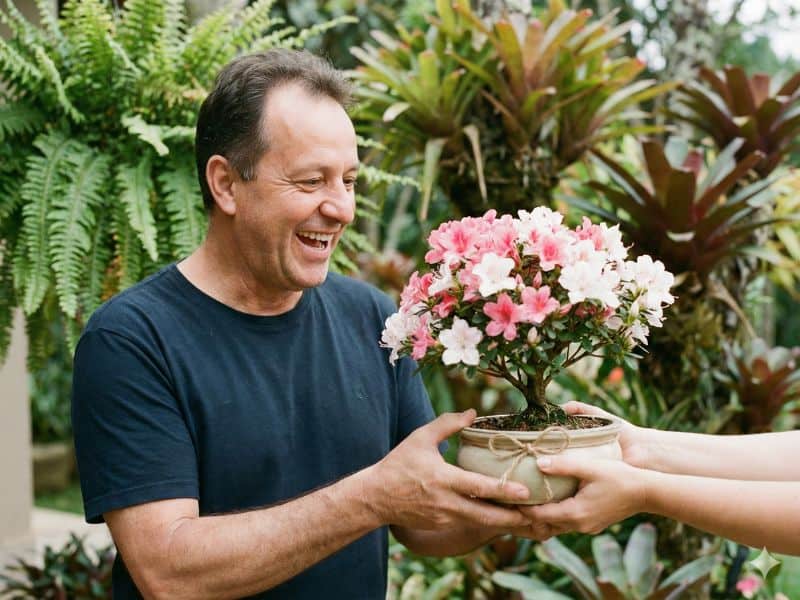 Presentes para homens que tem tudo como bonsai florido sendo entregue como presente diferente para homem
