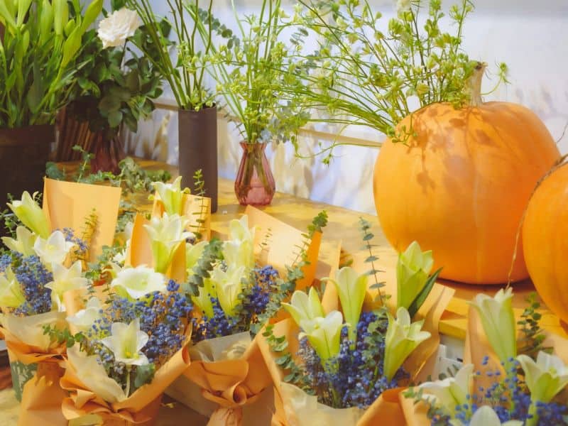 Arranjos simples de flores e plantas organizados de forma delicada, representando lembrancinhas do Dia da Mulher com significado duradouro