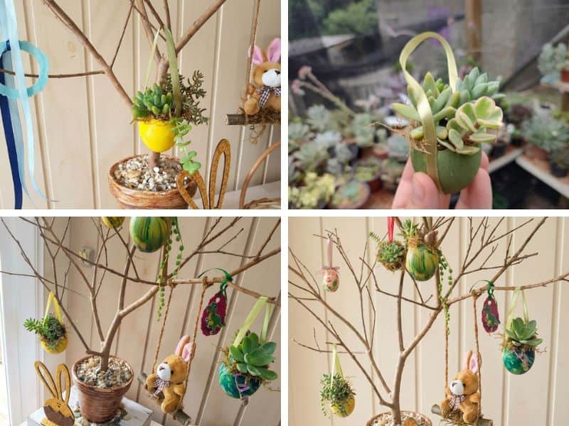 árvore de Páscoa autoral com casquinha de ovo e suculentas feita à mão