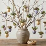 árvore de páscoa com suculentas na casquinha de ovo em galhos decorados