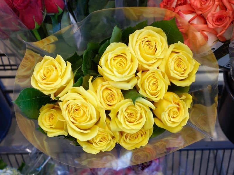 Rosas amarelas para Dia dos Namorados em buquê delicado que pede atenção no contexto romântico